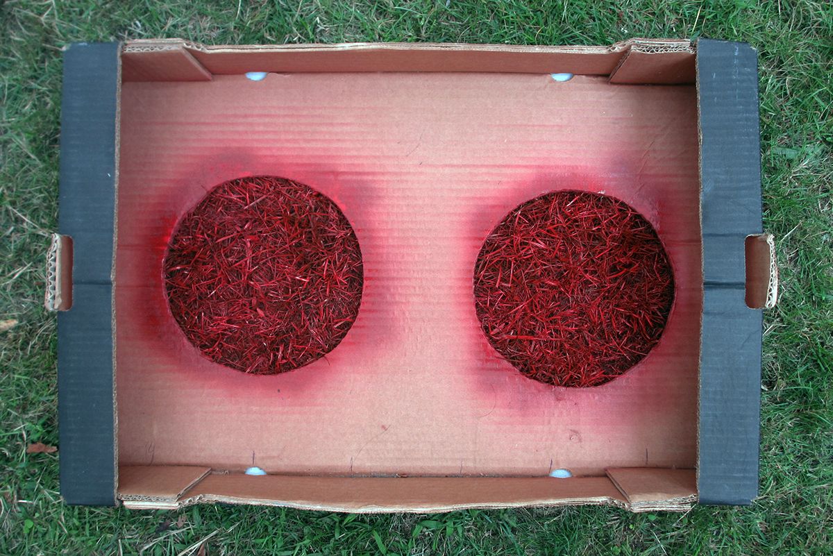 Garden twister DIY Magical Daydream